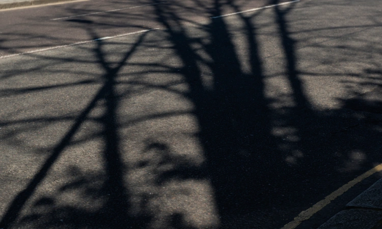 El departament de les ombres celebrarà un seminari a l'Espai Línia