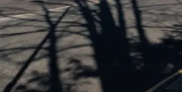 El departament de les ombres es reunirà a l'Espai Línia